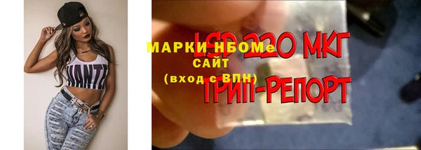 твердый Алексеевка