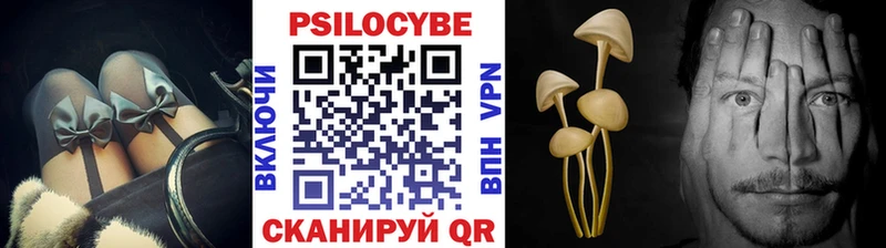 закладка  Обоянь  гидра ссылки  Псилоцибиновые грибы Psilocybe 